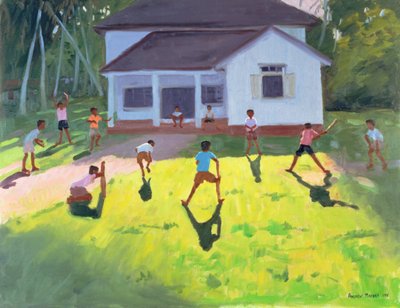 Cricket, Sri Lanka by Andrew Macara